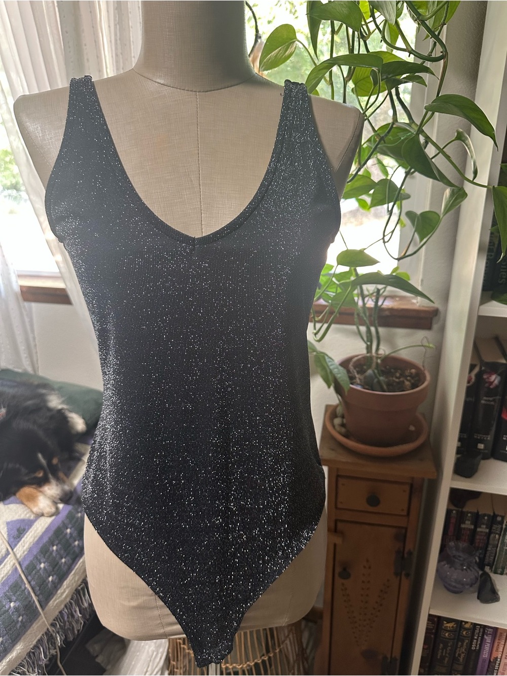 wild fable Black Glitter V-Neck Sleeveless Bodysuit